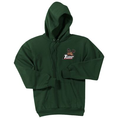 Northern Star - Embroidered Pullover Hoodie Thumbnail